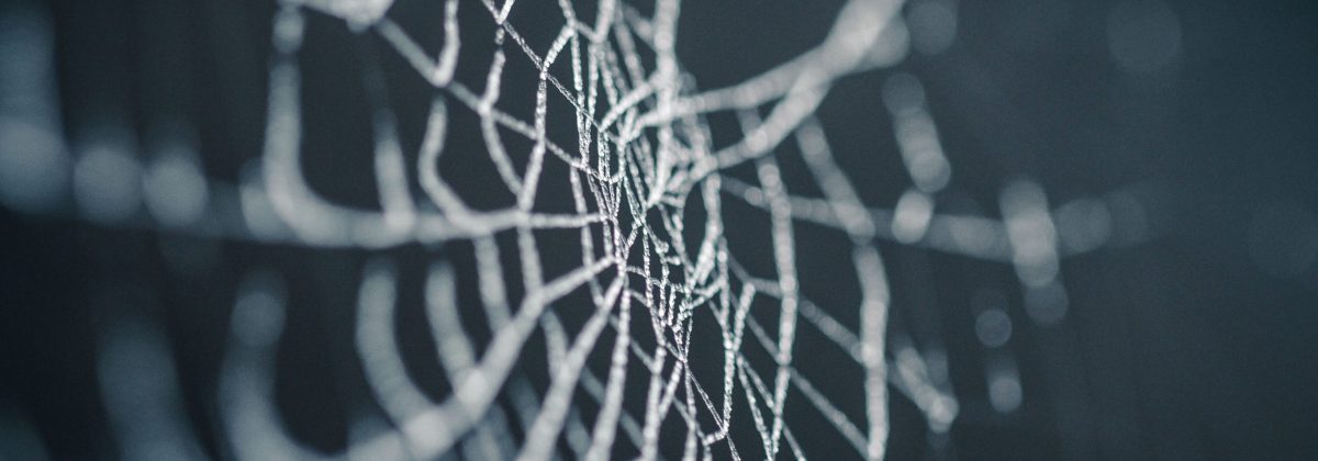 Spider Goats and Outer-space, New Futuristic Textiles Spider Goats and Outer-space, New Futuristic Textiles