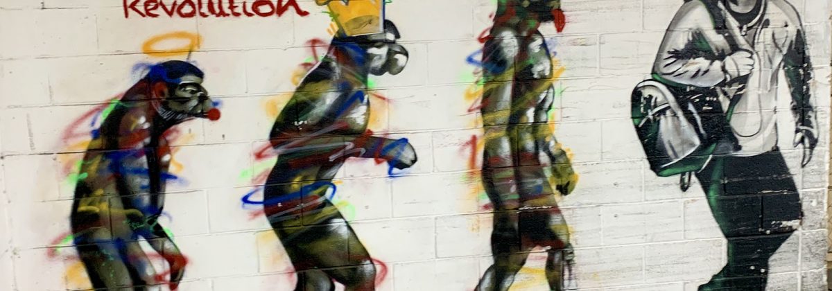 Fashion Industry: Evolution Not Revolution Fashion Industry: Evolution Not Revolution