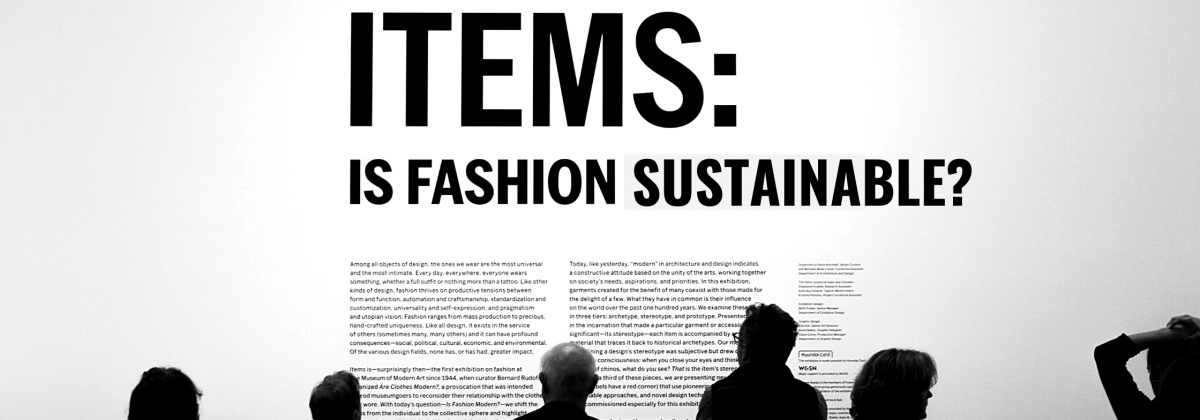 The Hype of Sustainability The Hype of Sustainability