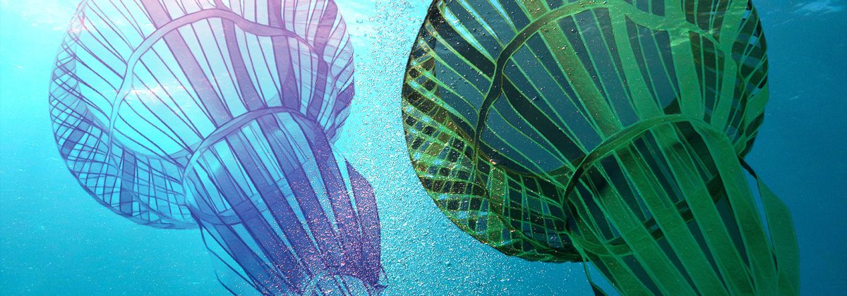 Technology and Its Influence on the Fashion Industry Technology and Its Influence on the Fashion Industry